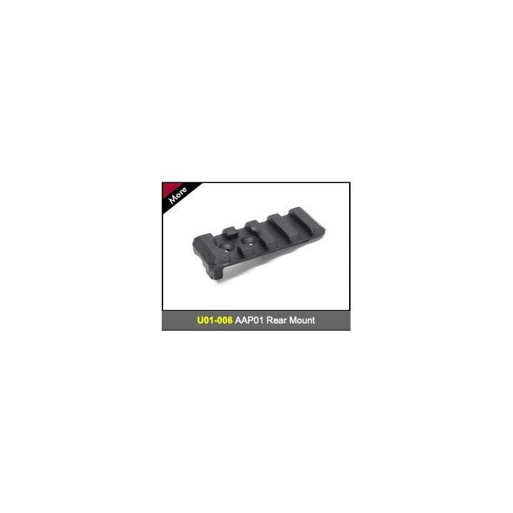 AAP01 Rear Mount