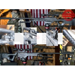 Maruzen APS Type 96 / L96 Custom - Usato