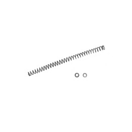 UK1 Spring for Released - ICS MA-214