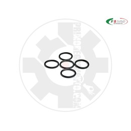O-RING 1.0 DI TENUTA PER SPINGIPALLINO