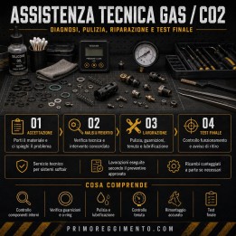 Revisione completa pistola Gas / Co2