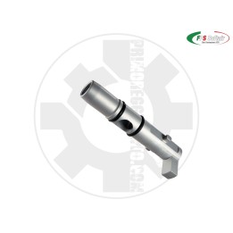 SPINGIPALLINO IN ERGAL per AEP