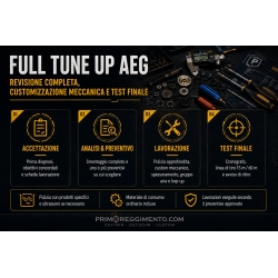 Full Tune Up / revisione...