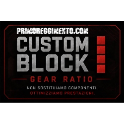 CUSTOM BLOCK IV – GEAR RATIO