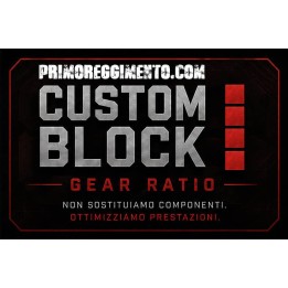 CUSTOM BLOCK IV – GEAR RATIO