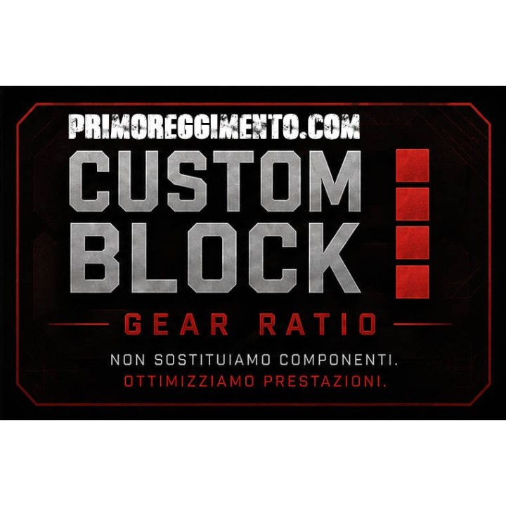 CUSTOM BLOCK IV – GEAR RATIO