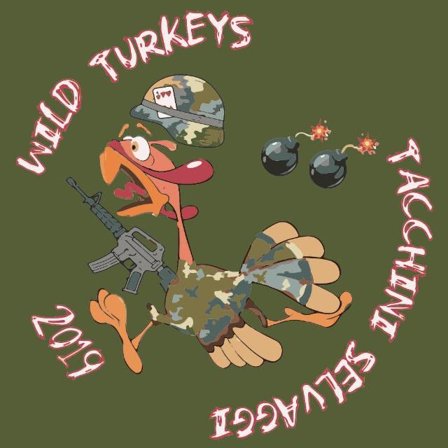 Wild Turkeys